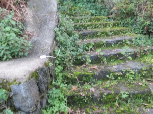 IMG_0253