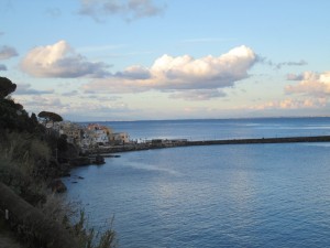 IMG_0248