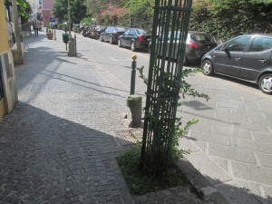 IMG_1418