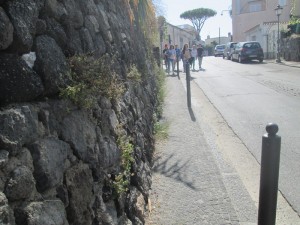 IMG_1422