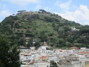 IMG_0852
