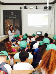 sarcolab3