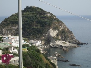 IMG_0831