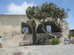 IMG_0547