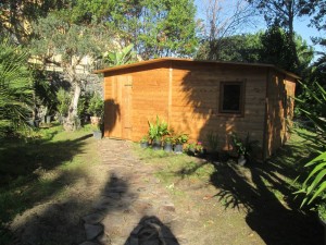 IMG_3375
