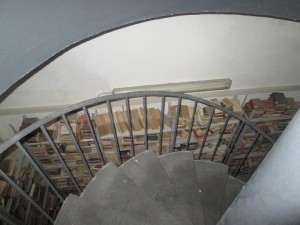 IMG_3353