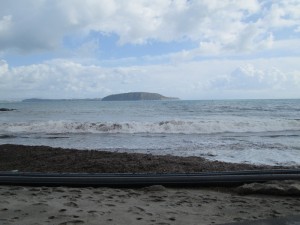 IMG_3656