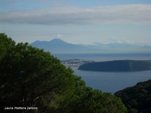 panoramalaura