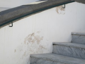 img_5006